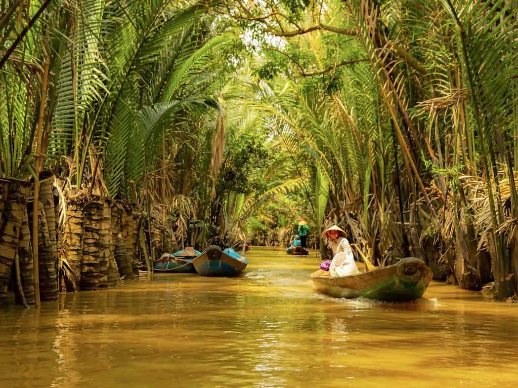 Southern Vietnam: Tropical Energy and Urban Adventures - Mekong Delta